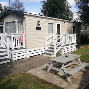 Narcissus Campsite